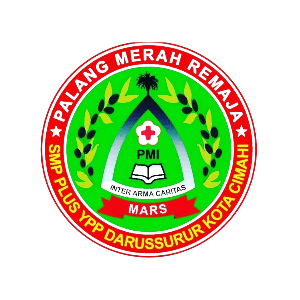PMR